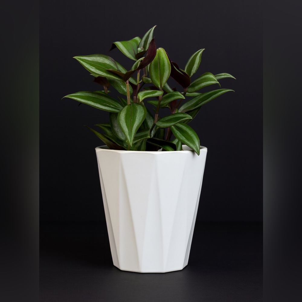 White Geometric Ceramic Planter Pot Home Decor Modern Faceted Design 6.4 in